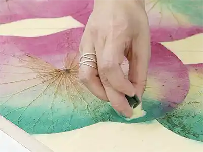 蓮の葉に色をつける