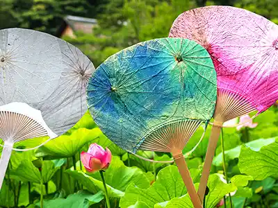 完成したうちわと蓮の花