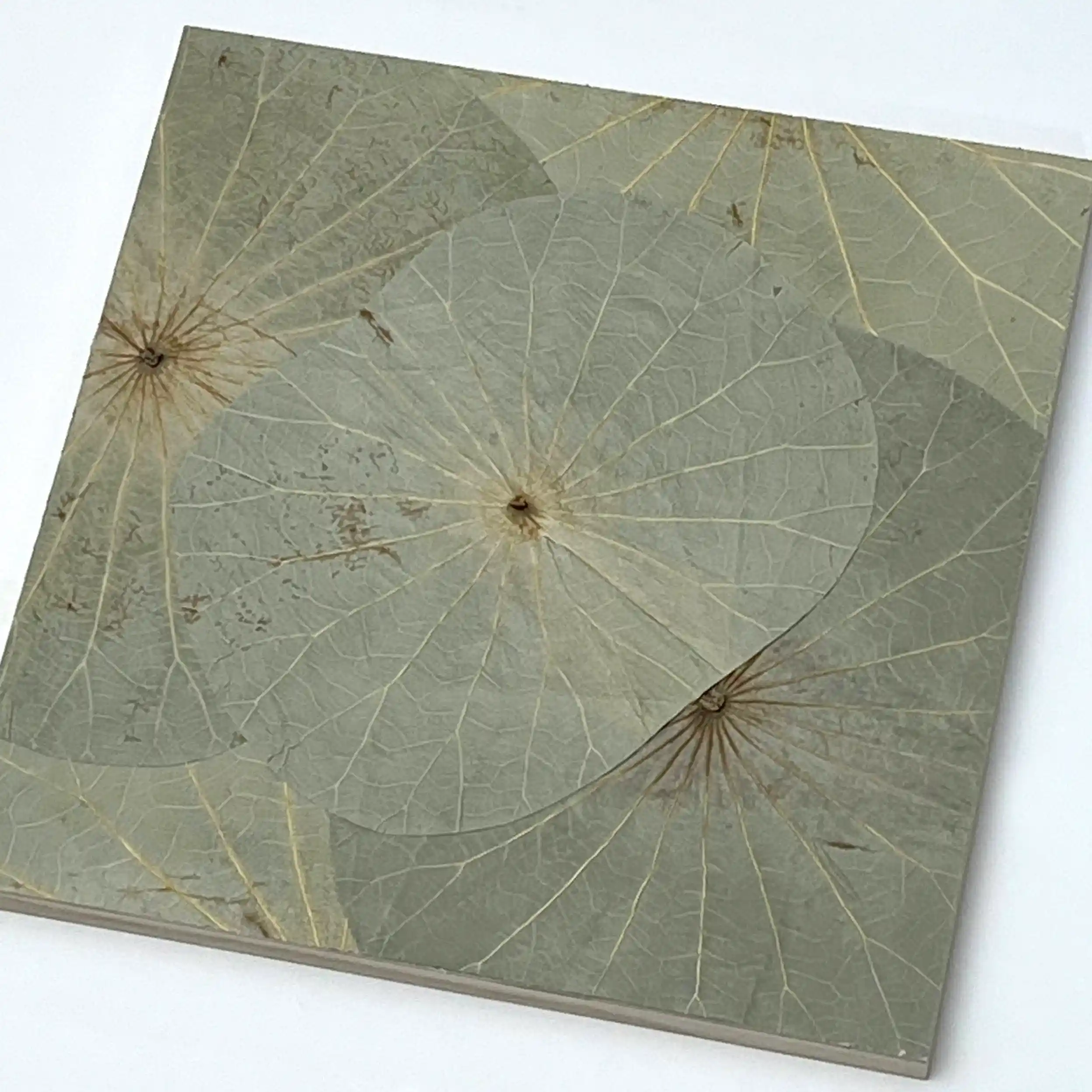 蓮の葉のパネルそのままでも素敵です。