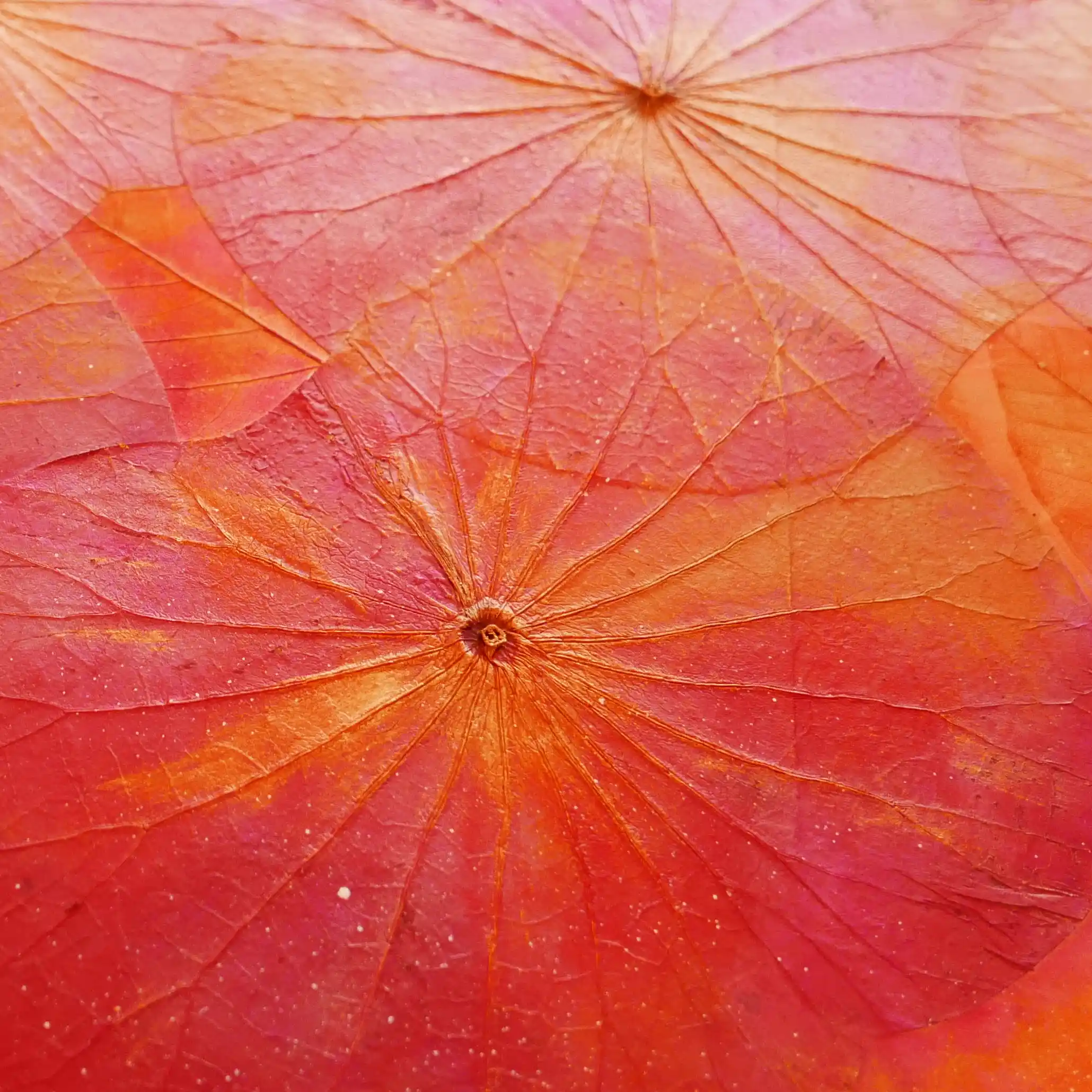 赤とオレンジで着色した作品、ゴールドも加えました