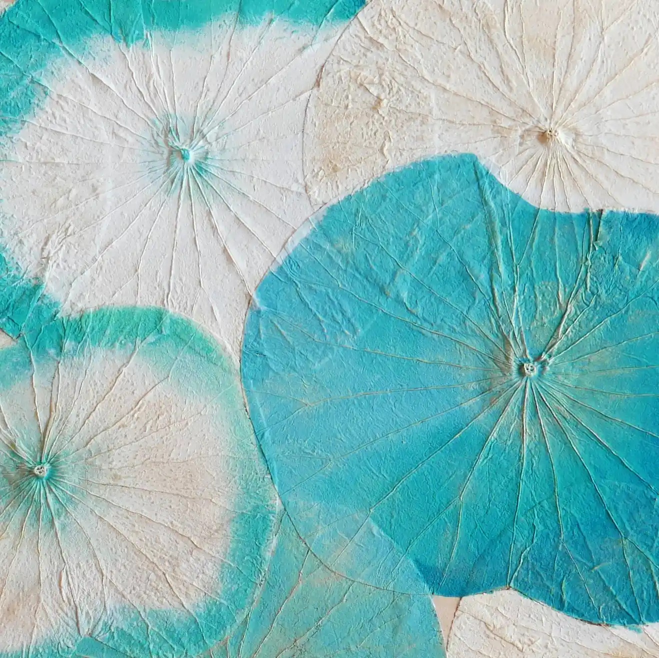 白とエメラルドグリーンで着色