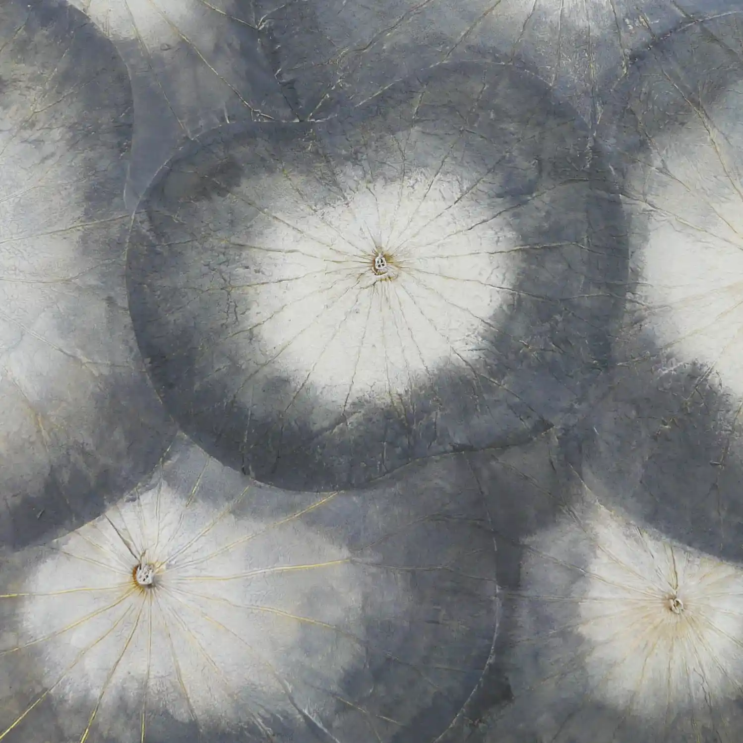 グレーと白の着色。ゴールドも加えました