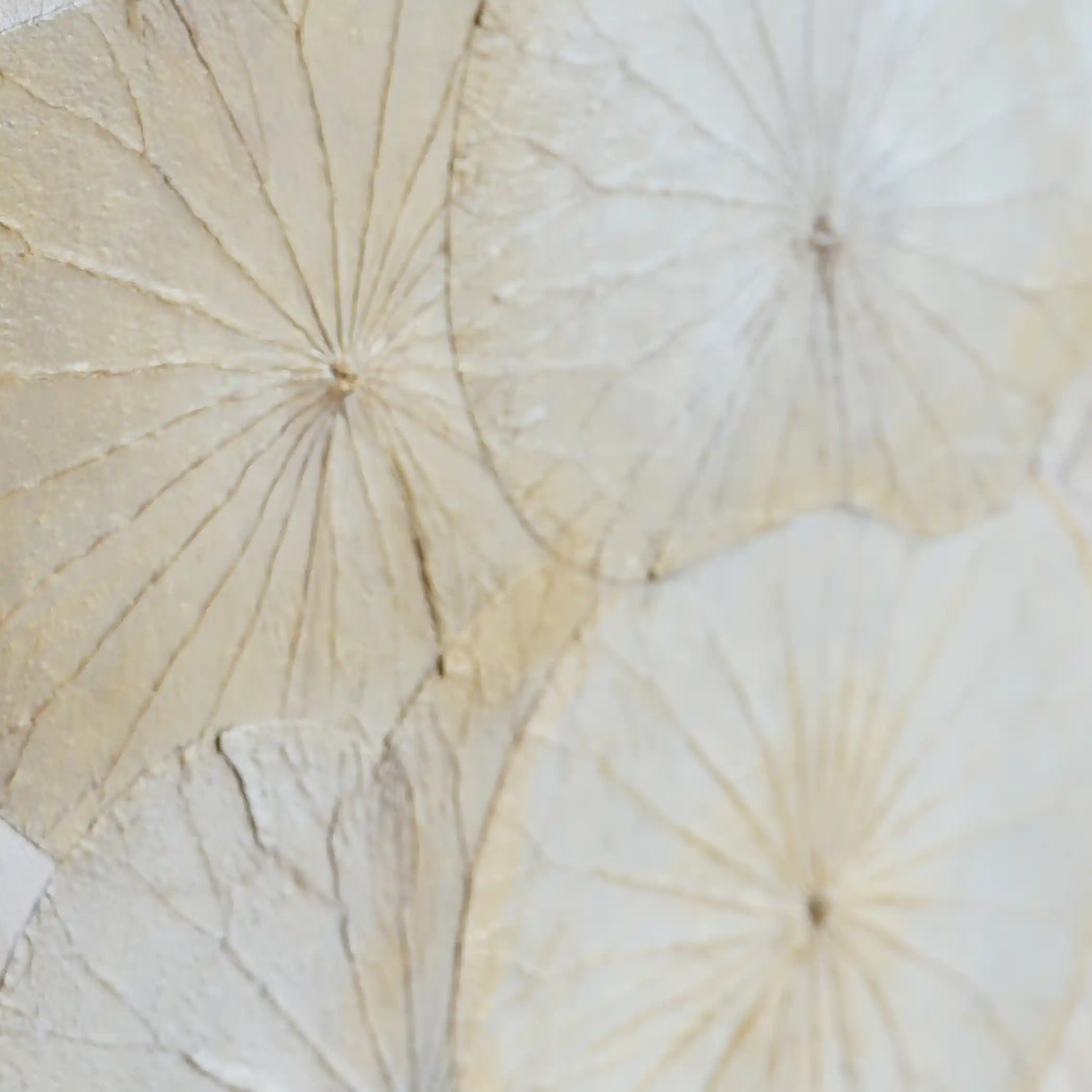 ベージュで塗りました