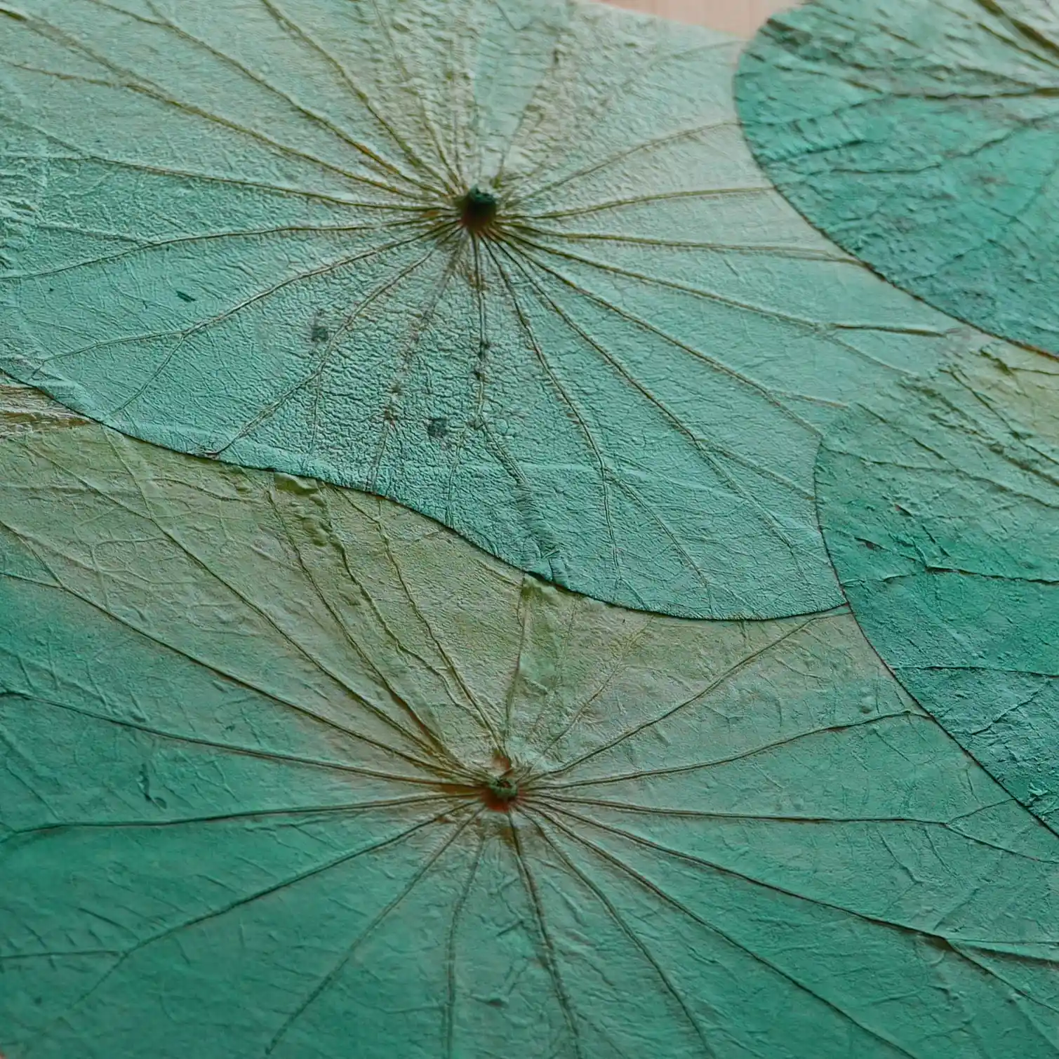 薄くグリーンを塗りました